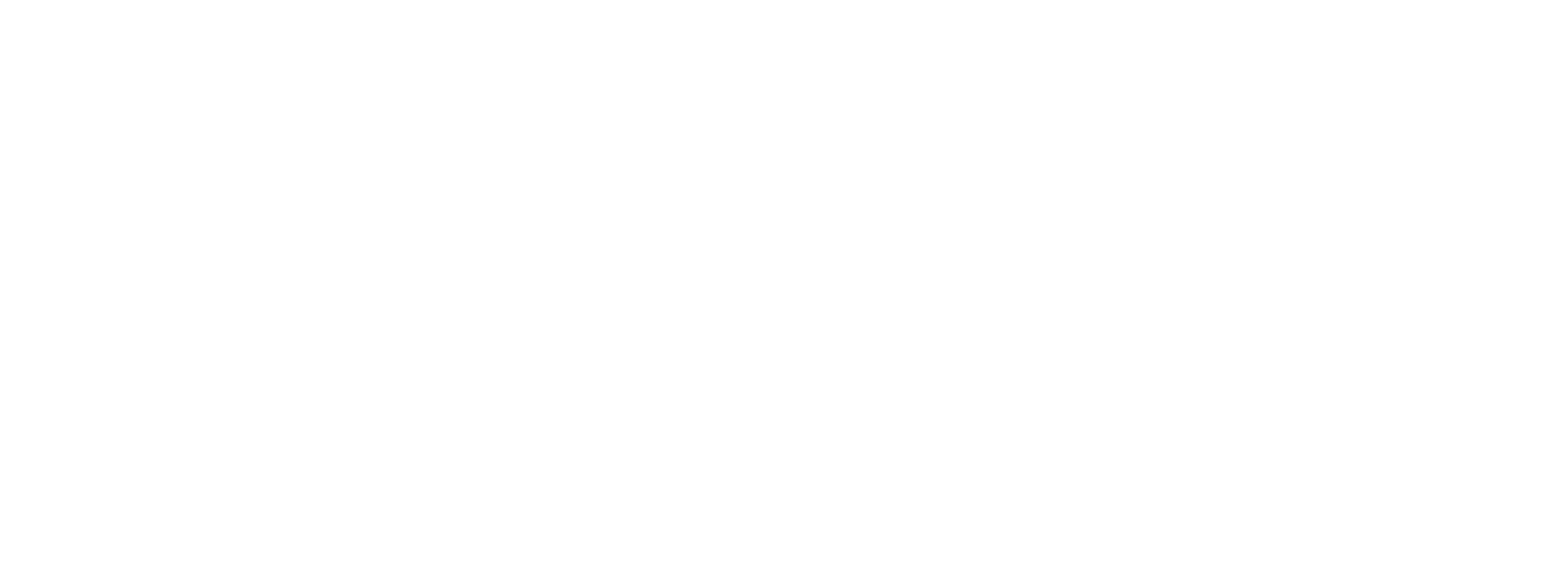 Saad Basha